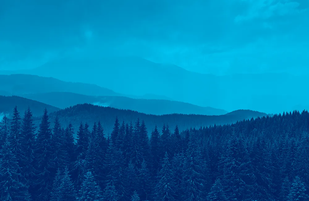 About TerrainTailor Header Image